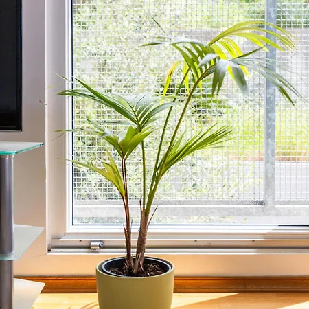 Azure Horizon 스플리트