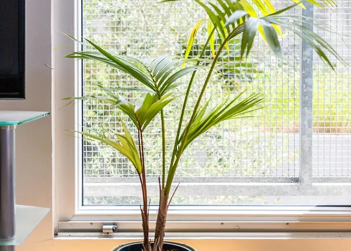 Azure Horizon - Sea View & Free Parking Split